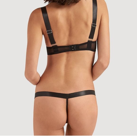 BLUEBELLA Sawyer Thong Panty Black Medium - Picture 4 of 4